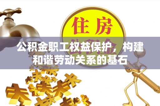大树公积金职工权益保护，构建和谐劳动关系的基石