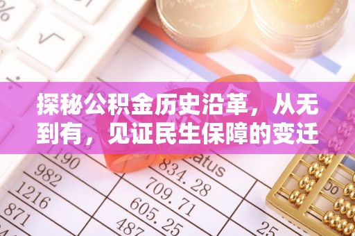 大树探秘公积金历史沿革，从无到有，见证民生保障的变迁