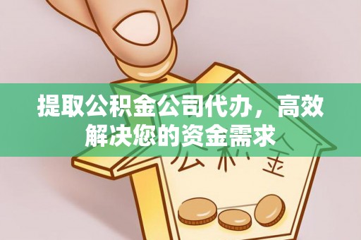 大树提取公积金公司代办，高效解决您的资金需求