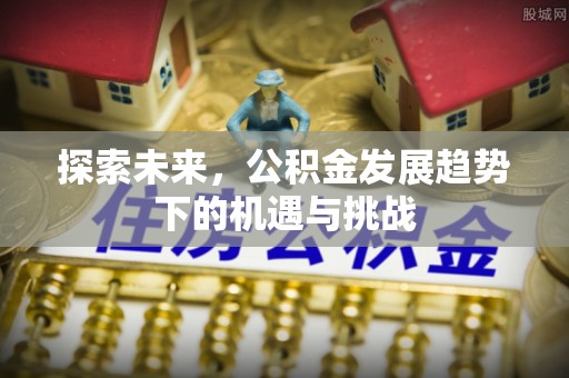 大树探索未来，公积金发展趋势下的机遇与挑战