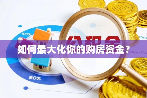 大树如何最大化你的购房资金？
