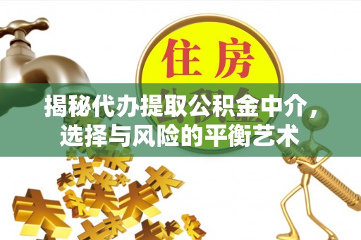 大树揭秘代办提取公积金中介，选择与风险的平衡艺术