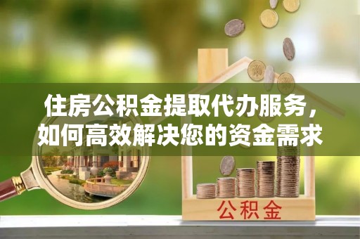 大树住房公积金提取代办服务，如何高效解决您的资金需求