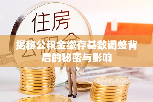 大树揭秘公积金缴存基数调整背后的秘密与影响