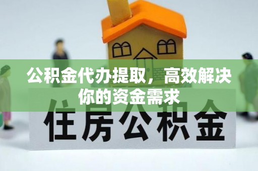 大树公积金代办提取，高效解决你的资金需求