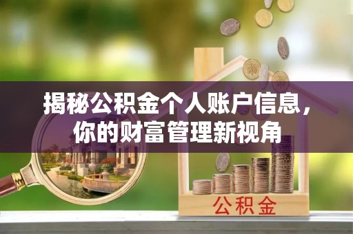 大树揭秘公积金个人账户信息，你的财富管理新视角