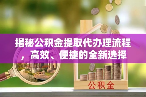 大树揭秘公积金提取代办理流程，高效、便捷的全新选择